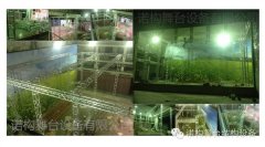 選用鋁合金燈光桁架必須了解知識(shí)