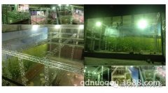 劇院安裝工程現(xiàn)場分享-劇院工程架 TRUSS架 桁架廠